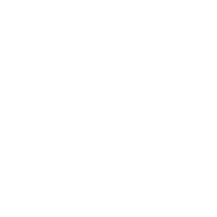 飛螞蟻模板網(wǎng)