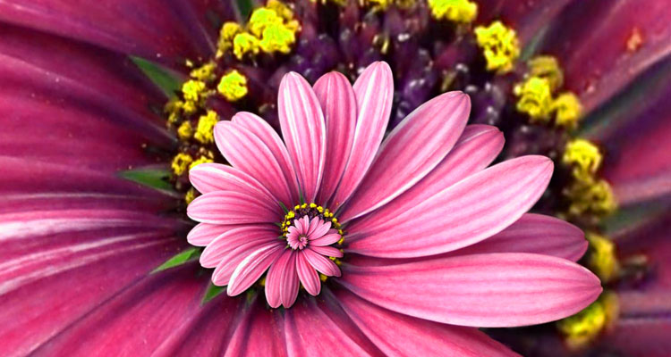 1-140513223K01O.jpg 淘寶廣告圖