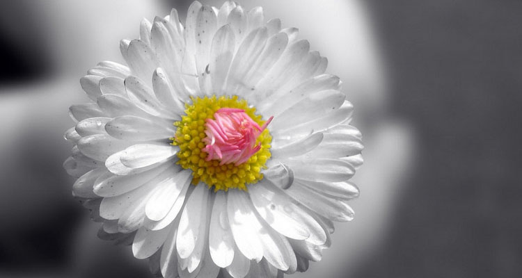 黑我基礎版模板素材 淘寶廣告圖