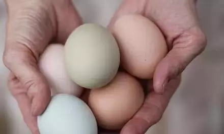 201505311433039413380701.jpg TB1yr8mIXXXXXbFXXXXSutbFXXX.jpg