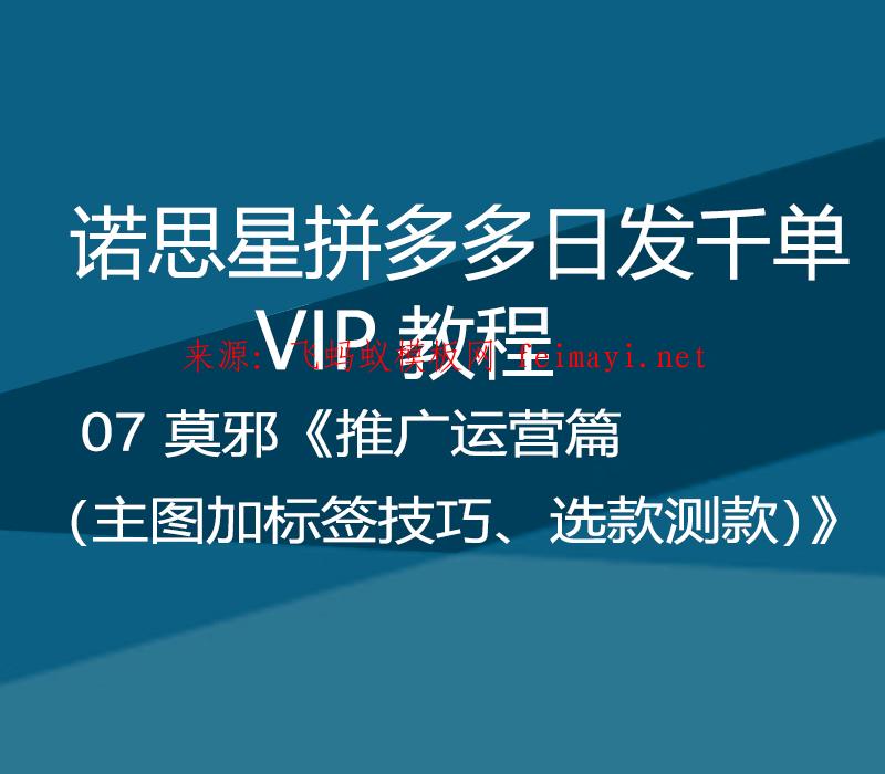 諾思星拼多多日發千單VIP教程 07 莫邪《推廣運營篇（主圖加標簽技巧、選款測款）》