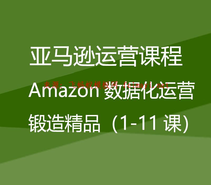 視頻教程亞馬遜運營課程Amazon：Amazon數據化運營鍛造精品（1-11課）